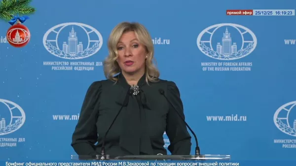 扎哈罗娃批评日本记者对俄日关系缺乏兴趣 - 俄罗斯卫星通讯社