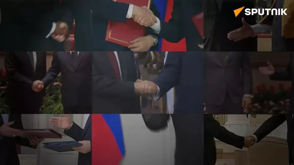 定义2025年的握手：普京 - 俄罗斯卫星通讯社