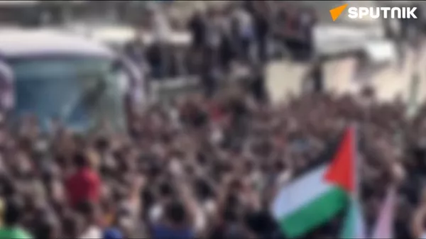 巴勒斯坦2025：流离失所、饥荒、围困与停火 - 俄罗斯卫星通讯社