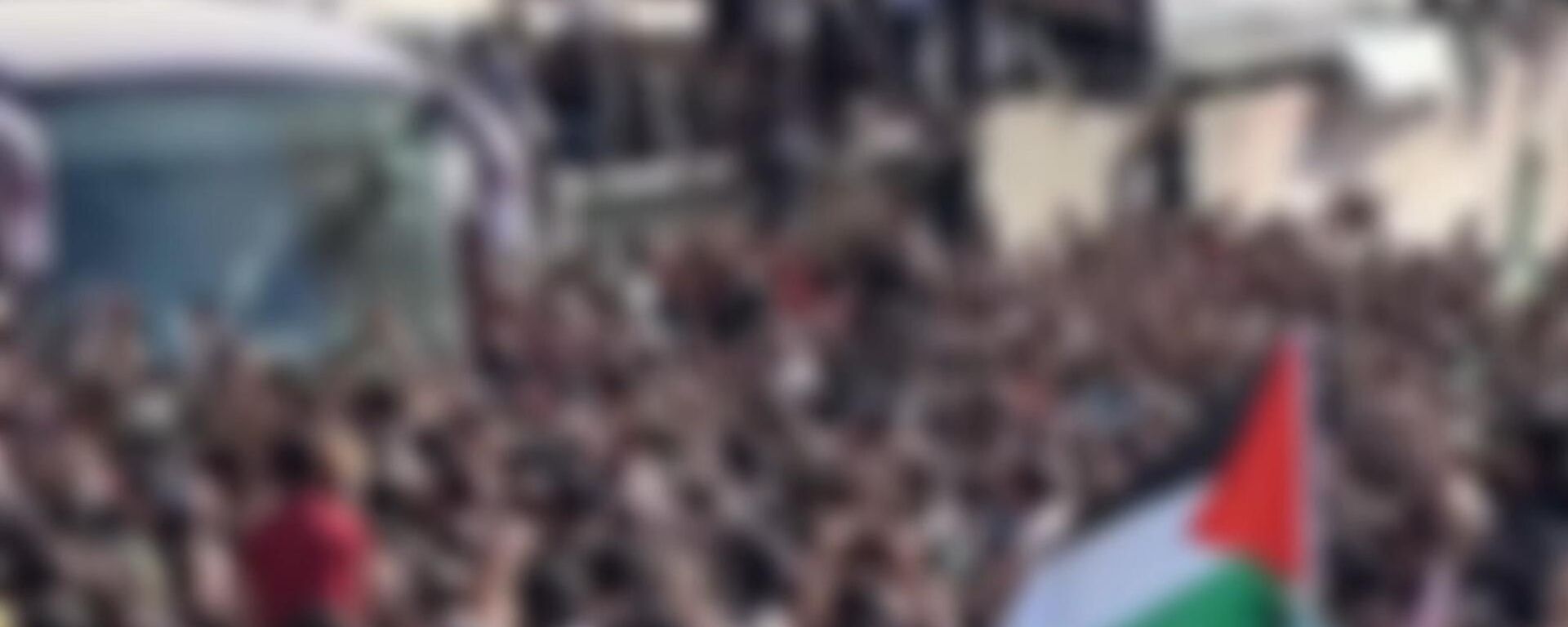 巴勒斯坦2025：流离失所、饥荒、围困与停火 - 俄罗斯卫星通讯社, 1920, 29.12.2025