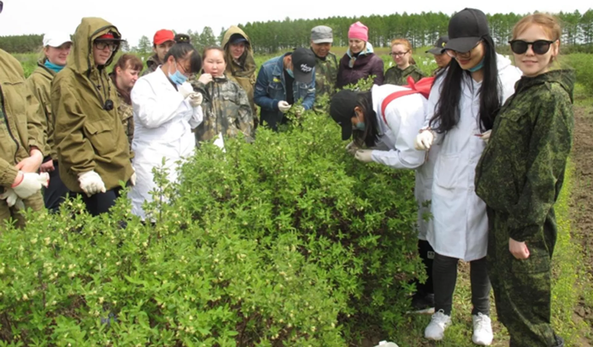 俄罗斯远东国立农业大学大学生在中俄林业科技合作园区实习。供图/ 黑河生态环境部 - 俄罗斯卫星通讯社, 1920, 29.12.2025