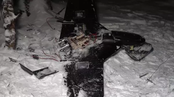 中国专家：基辅袭击俄总统官邸为和平谈判进程投下阴影 - 俄罗斯卫星通讯社