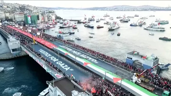 媒体：伊斯坦布尔声援巴勒斯坦游行人数超52万 - 俄罗斯卫星通讯社