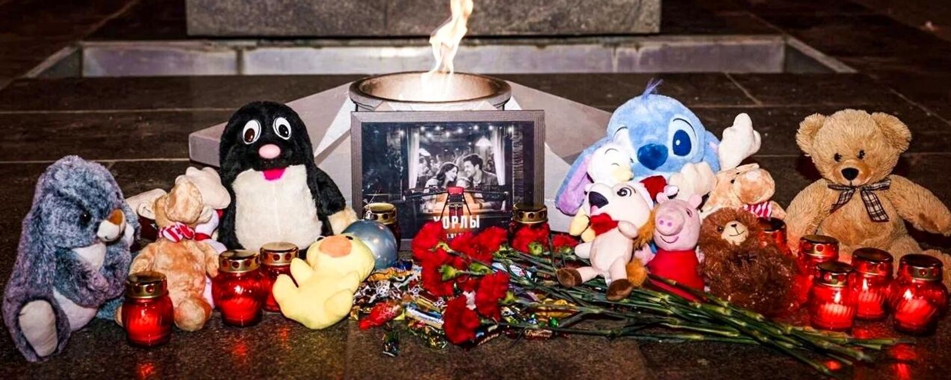 芬兰政治家呼吁联合国谴责乌军在赫尔松州的恐袭行为 - 俄罗斯卫星通讯社, 1920, 02.01.2026