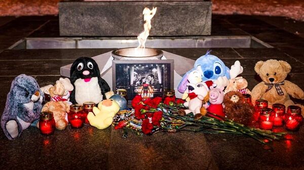 芬兰政治家呼吁联合国谴责乌军在赫尔松州的恐袭行为 - 俄罗斯卫星通讯社