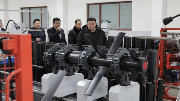 金正恩视察战术制导武器生产情况 - 俄罗斯卫星通讯社