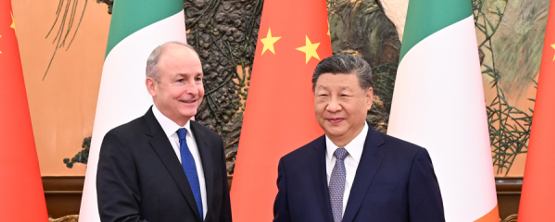 习近平会见爱尔兰总理马丁 习近平会见爱尔兰总理马丁 - 俄罗斯卫星通讯社, 1920, 05.01.2026