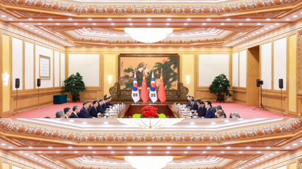 习近平同韩国总统李在明举行会谈 - 俄罗斯卫星通讯社