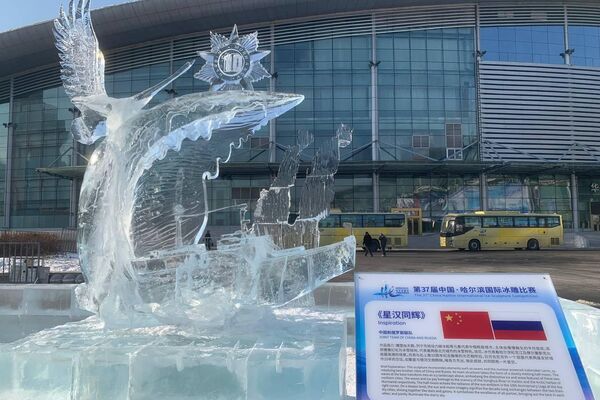 第42届中国·哈尔滨国际冰雪节盛大开幕 - 俄罗斯卫星通讯社