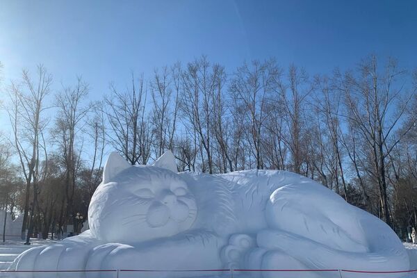 第42届中国·哈尔滨国际冰雪节盛大开幕 - 俄罗斯卫星通讯社