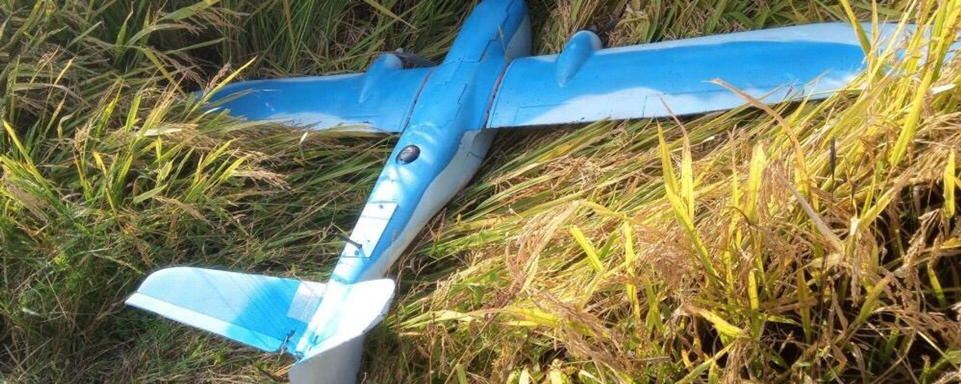 Южная Корея запустила беспилотник в воздушное пространство КНДР - 俄罗斯卫星通讯社, 1920, 10.01.2026