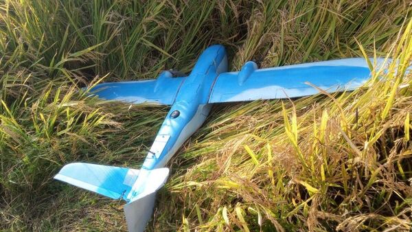 Южная Корея запустила беспилотник в воздушное пространство КНДР - 俄羅斯衛星通訊社