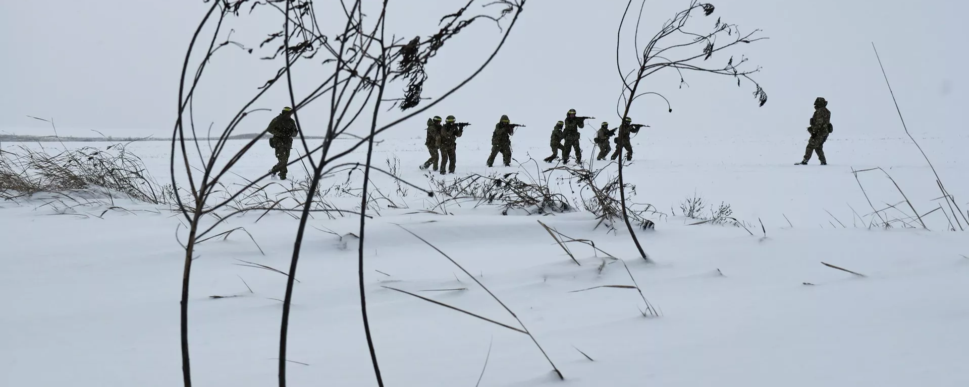 俄国防部：乌军一昼夜在特别军事行动中损失1305名军人 - 俄罗斯卫星通讯社, 1920, 05.02.2026