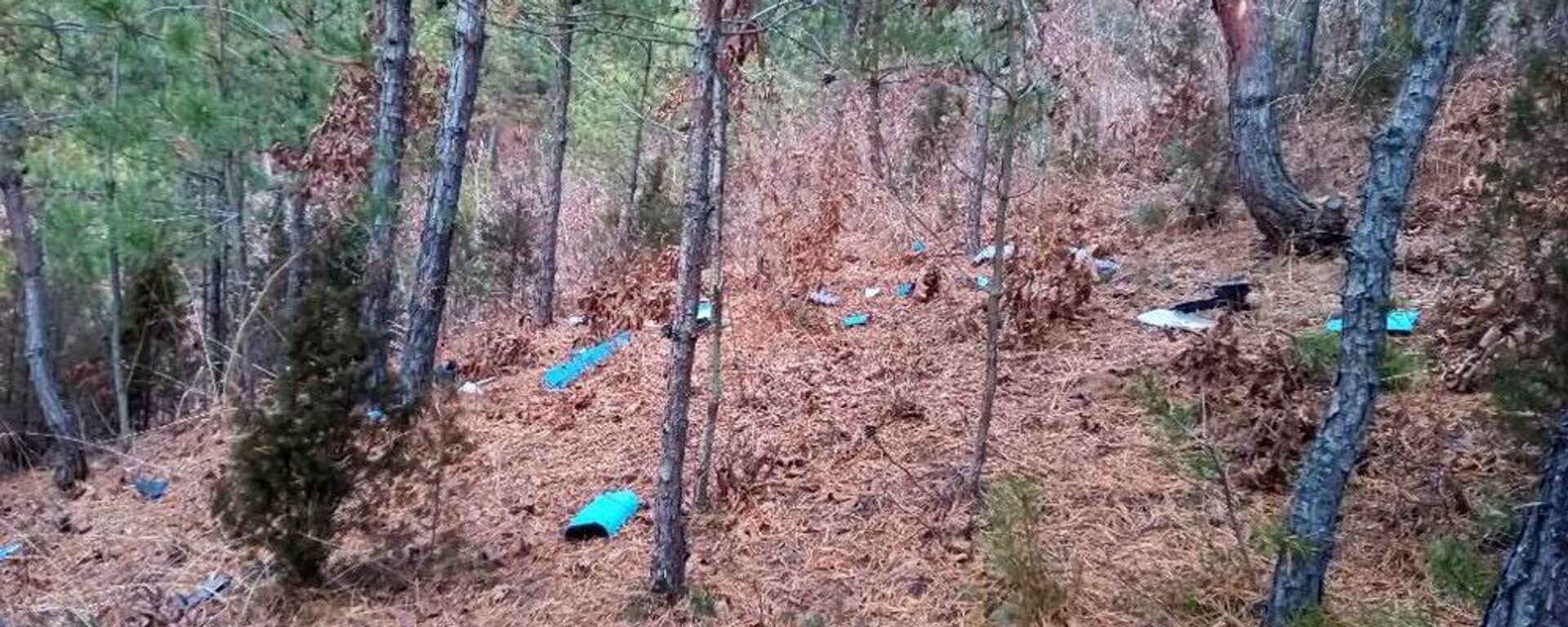 金與正：韓國當局無法擺脫重大侵權挑釁的責任 - 俄羅斯衛星通訊社, 1920, 11.01.2026