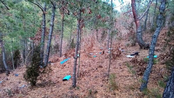 金与正：韩国当局无法摆脱重大侵权挑衅的责任 - 俄罗斯卫星通讯社