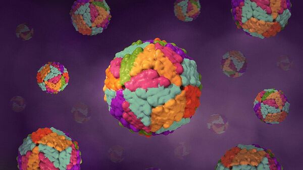 登革热病毒 - 俄罗斯卫星通讯社