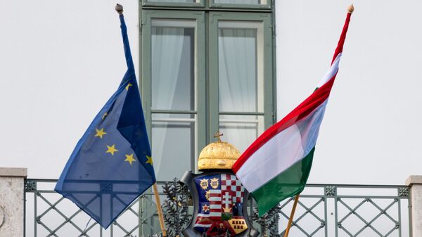 匈牙利国旗和欧盟旗帜 - 俄罗斯卫星通讯社