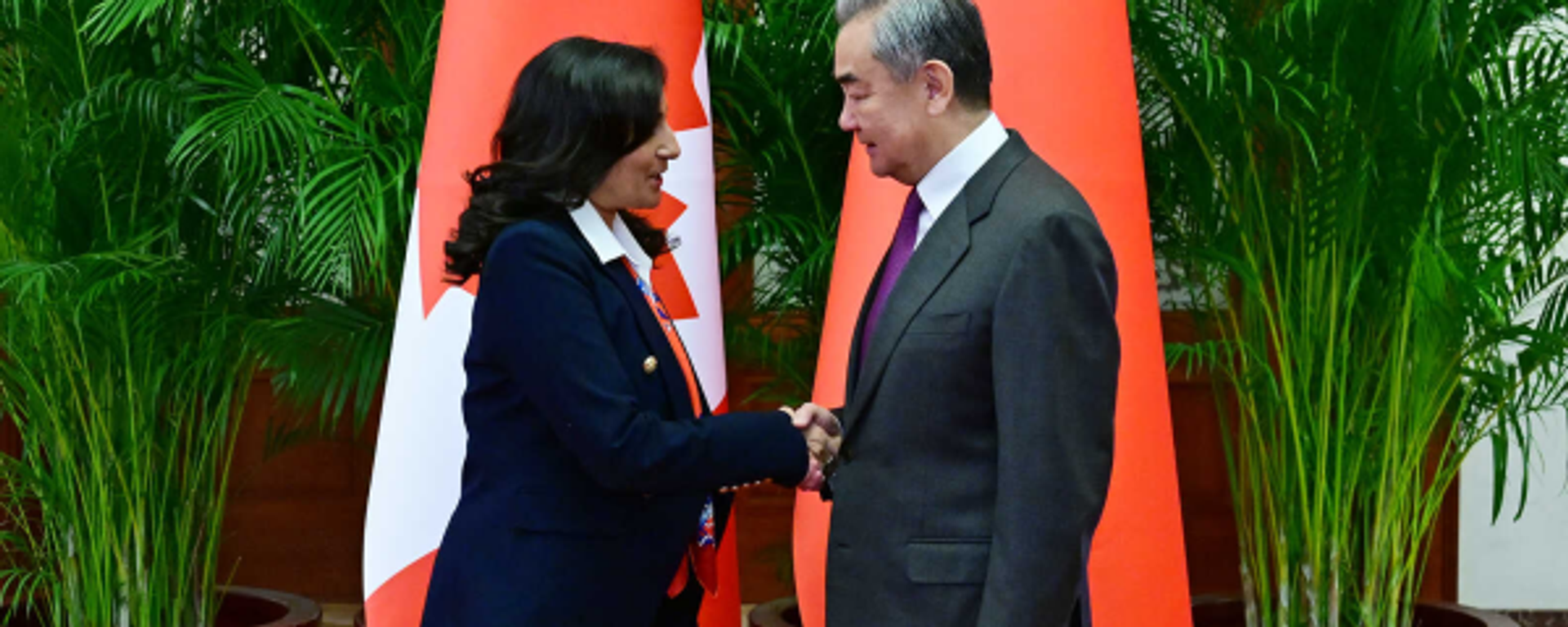 王毅会见加拿大外长阿南德 - 俄罗斯卫星通讯社, 1920, 15.01.2026