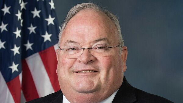 美国驻冰岛大使人选比利·朗 - 俄罗斯卫星通讯社
