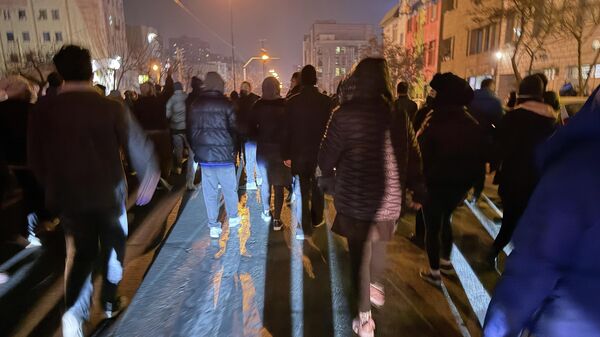 伊朗警察在南部布什尔省从骚乱参与者手中检获约6万件武器 - 俄罗斯卫星通讯社