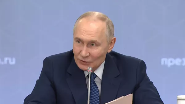 普京：全球无人机系统市场巨大，俄罗斯产品备受期待 - 俄罗斯卫星通讯社