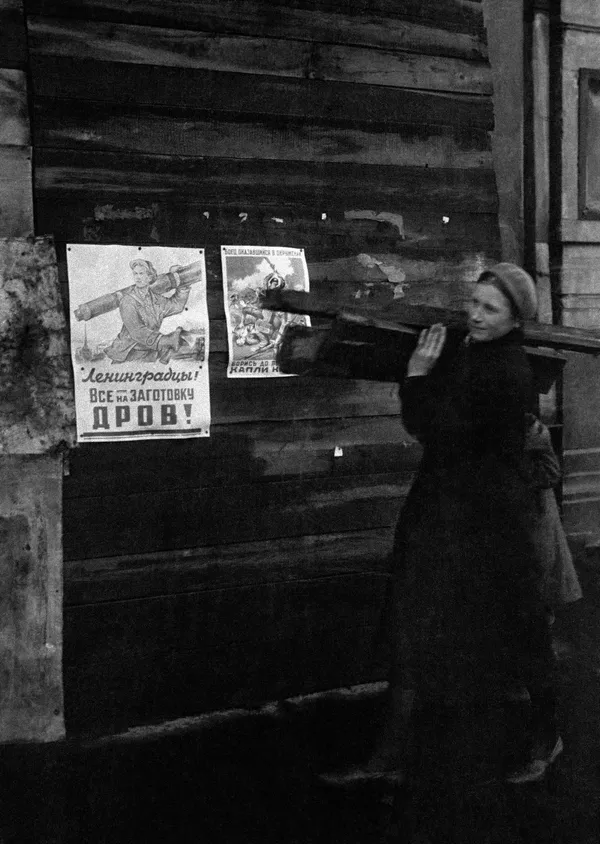 储备柴火 - 俄罗斯卫星通讯社