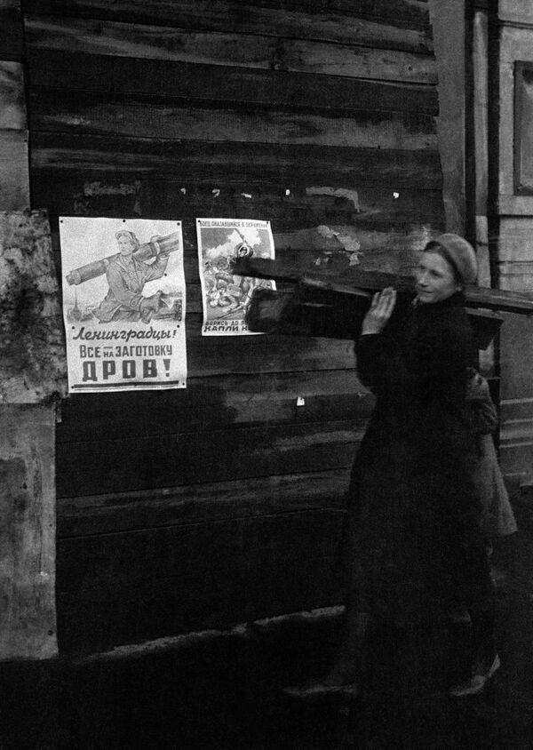 儲備柴火 - 俄羅斯衛星通訊社