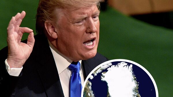 特朗普若“拿下”格陵兰将被载入史册 - 俄罗斯卫星通讯社