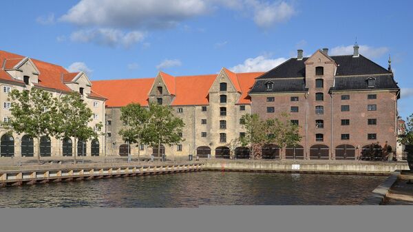 丹麦外交部 - 俄罗斯卫星通讯社