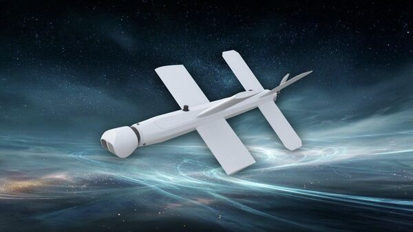 俄罗斯“柳叶刀”无人机：摧毁敌方武器的王牌利器 - 俄罗斯卫星通讯社