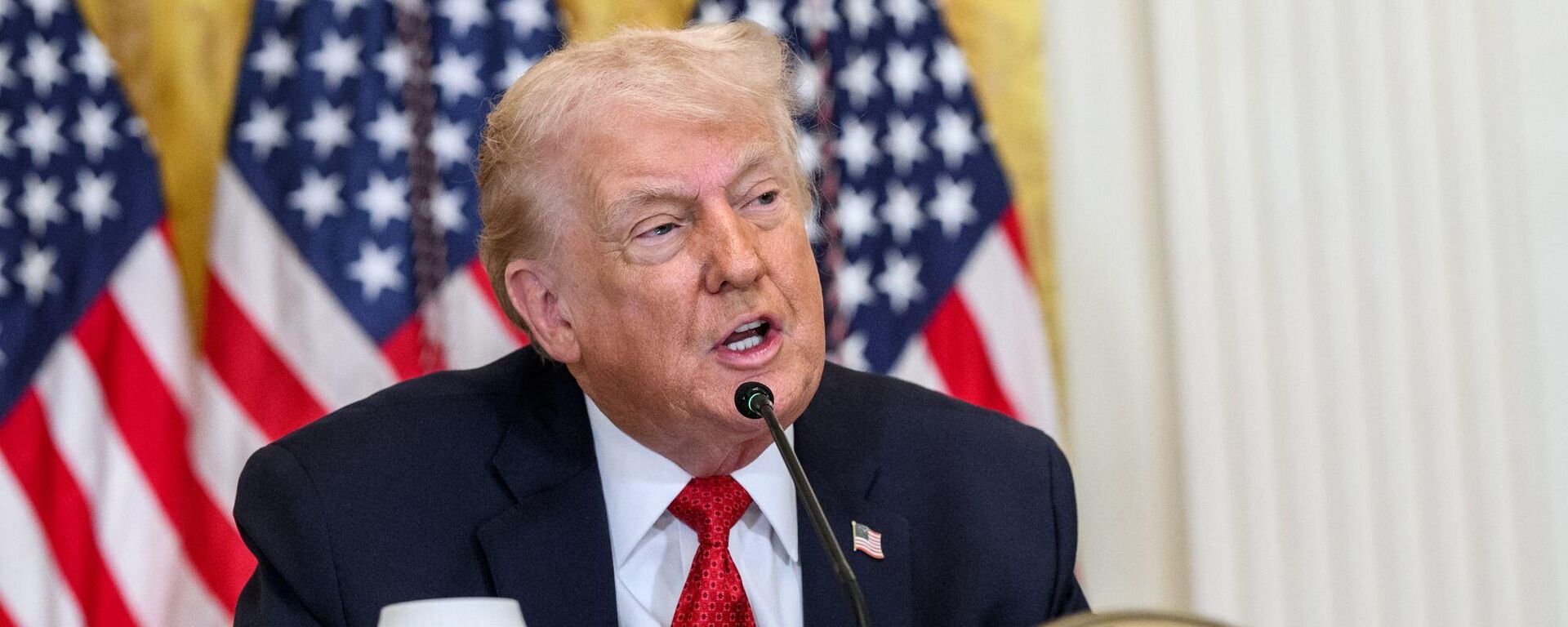 美國總統特朗普 - 俄羅斯衛星通訊社, 1920, 21.01.2026