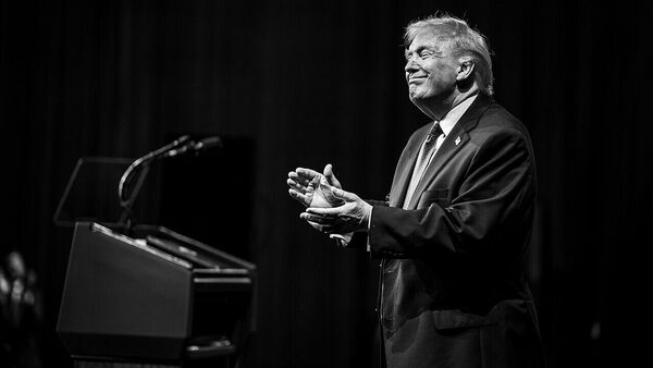 美国总统特朗普 - 俄罗斯卫星通讯社