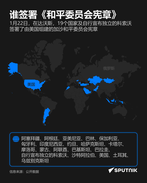 谁签署《和平委员会宪章》 - 俄罗斯卫星通讯社