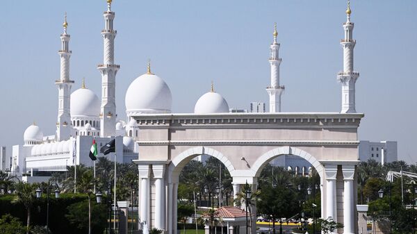 阿联酋 - 俄罗斯卫星通讯社