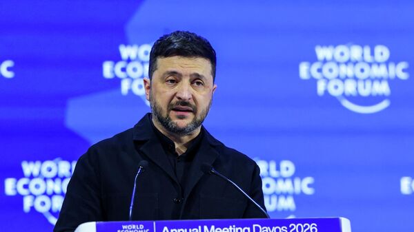 媒體：關於資助烏克蘭問題的慕尼黑談判破裂 - 俄羅斯衛星通訊社