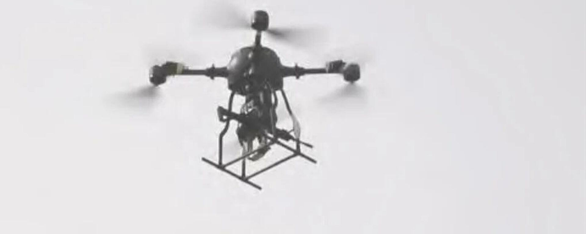 中国测试搭载步枪的无人机，可精准打击低空小型目标 - 俄罗斯卫星通讯社, 1920, 27.01.2026