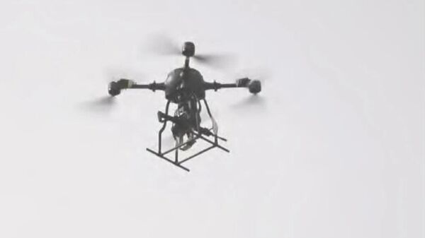 港媒：中国测试搭载步枪的无人机，可精准打击低空小型目标 - 俄罗斯卫星通讯社