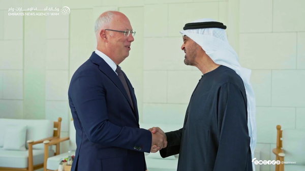 阿联酋总统与俄总统特别代表讨论两国合作发展前景 - 俄罗斯卫星通讯社