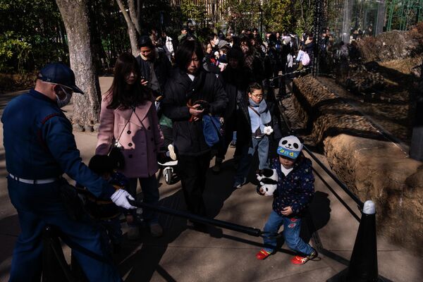 在东京上野动物园，游客们排队观看大熊猫，这是它们启程回国前的最后参观日。 - 俄罗斯卫星通讯社