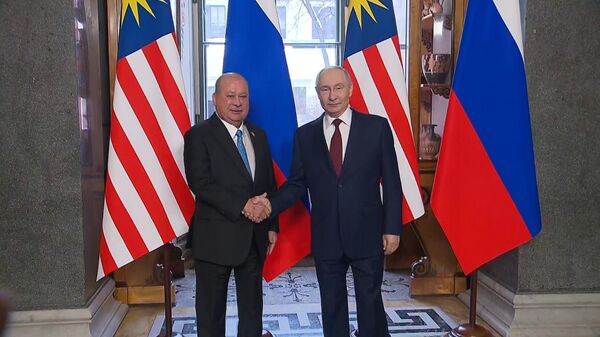 普京在冬宫会晤马来西亚国家元首易卜拉欣 - 俄罗斯卫星通讯社