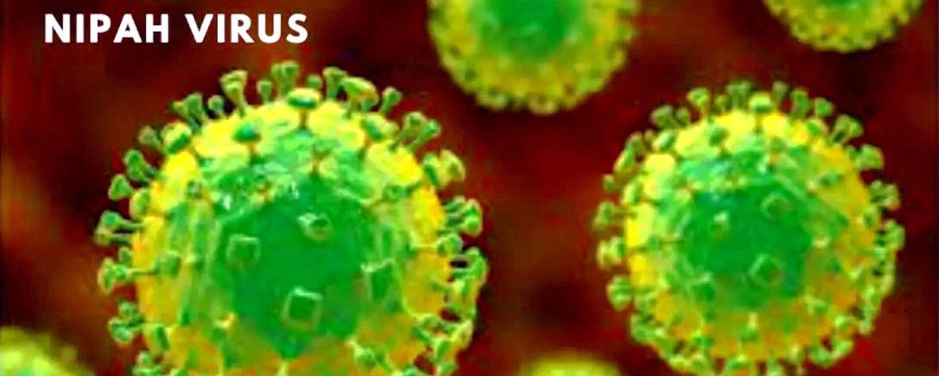 尼帕病毒 - 俄羅斯衛星通訊社, 1920, 27.01.2026