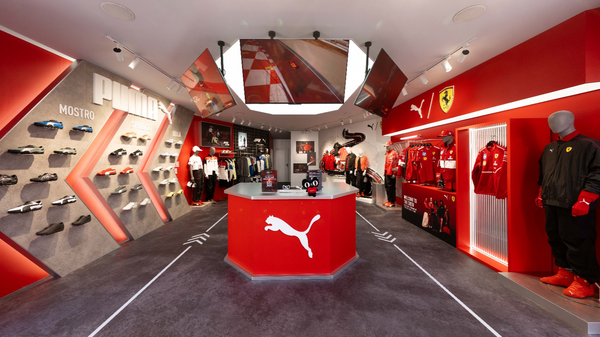 puma - 俄罗斯卫星通讯社