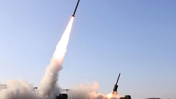 朝鲜导弹总局进行大口径火箭炮武器系统试射 - 俄罗斯卫星通讯社