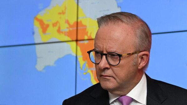 安東尼·阿爾巴尼斯 - 俄羅斯衛星通訊社