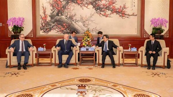 中俄能源部门就深化两国能源领域合作进行交流 - 俄罗斯卫星通讯社