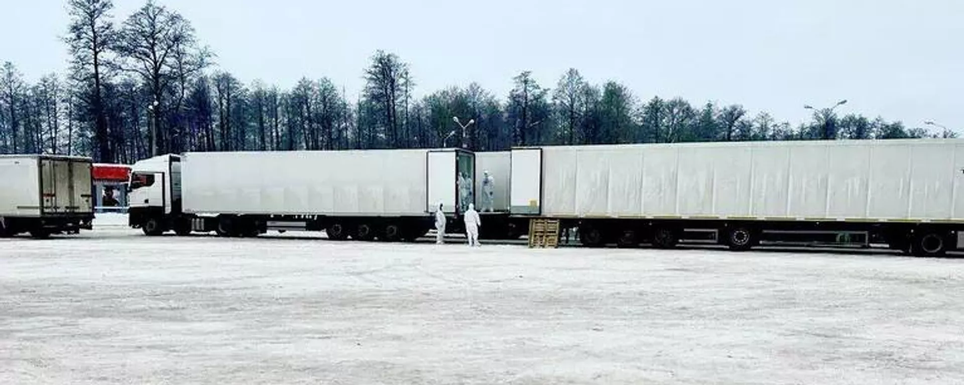 俄总统助理：俄罗斯已向乌移交1000具士兵遗体并接收38具阵亡士兵遗体 - 俄罗斯卫星通讯社, 1920, 29.01.2026