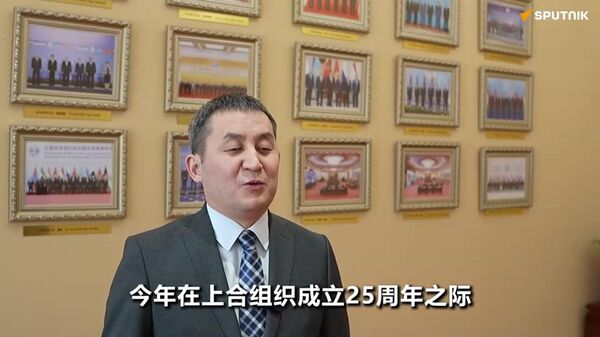 吉尔吉斯斯坦驻上合组织协调员：吉国年内计划举办约40项重点活动 - 俄罗斯卫星通讯社
