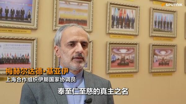 伊朗国家协调员解读加入上合组织有何益处 - 俄罗斯卫星通讯社