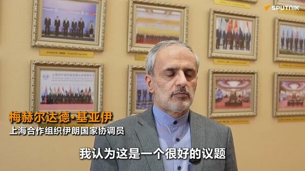 伊朗国家协调员：上合组织酝酿防务合作新机制 - 俄罗斯卫星通讯社