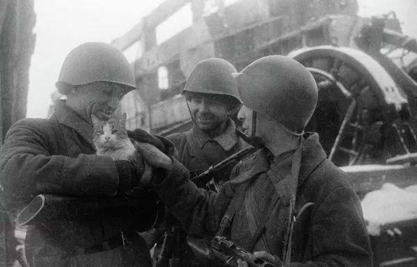 斯大林格勒战役的士兵 - 俄罗斯卫星通讯社